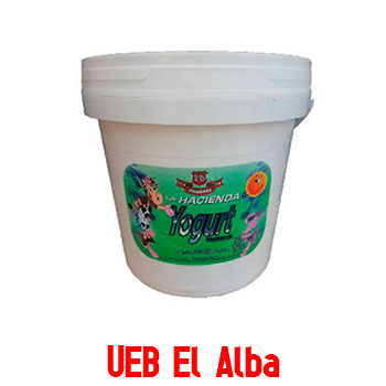 Yogurt natural (Cubo de 4L)